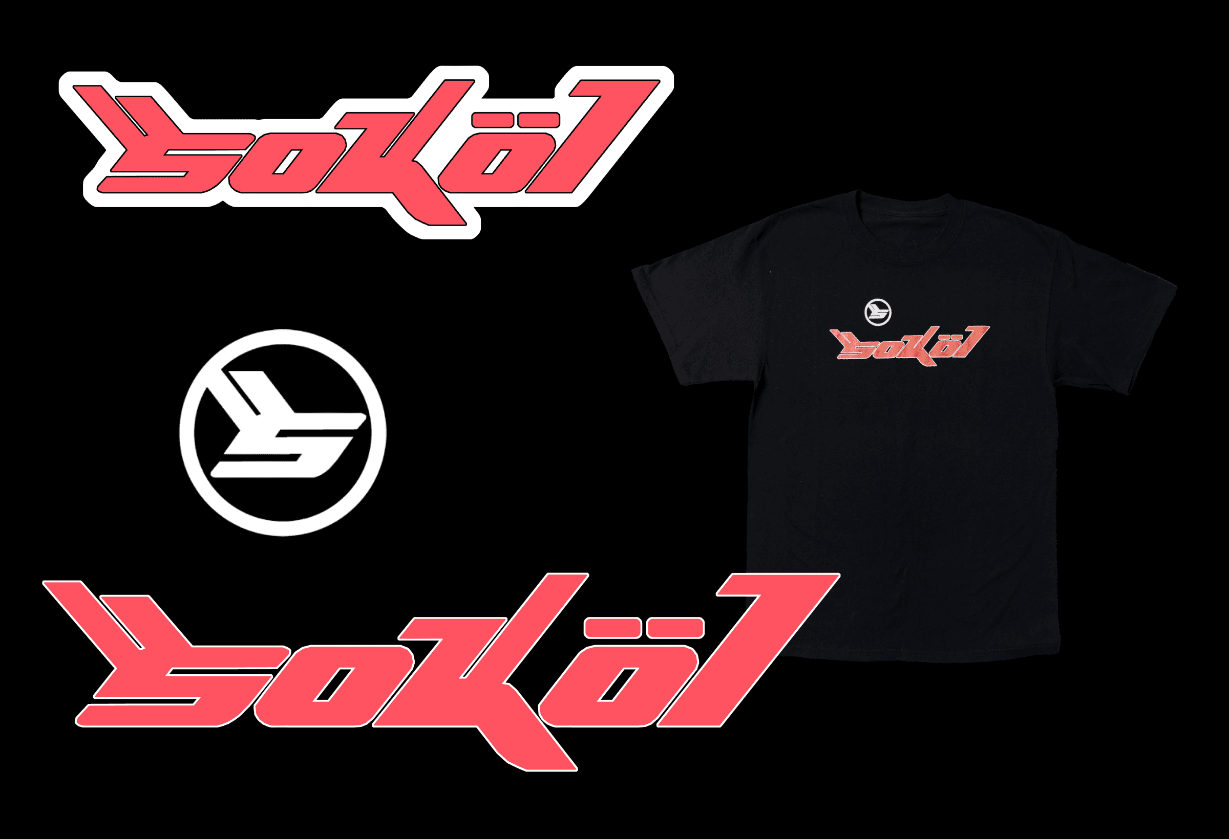 Mark's Bjork Inspired Bar Mitzvah Merch